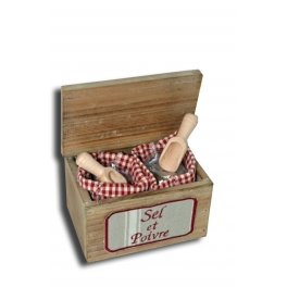 Box with 200g sel de camargue, 80g pepper and dosers h.17 16x11 Box with 200g sel de camargue, 80g pepper and dosers h.17 16x11