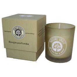 Green tea and mint scented candle, boxed 9.5x8